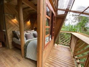 Relaxing EcoHome in bambú forest